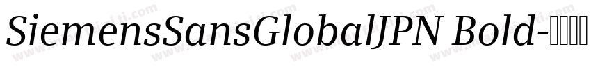 SiemensSansGlobalJPN Bold字体转换
